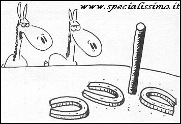 Vignette Animali - Ferro di cavallo