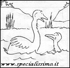Vignette Animali - Le oche
