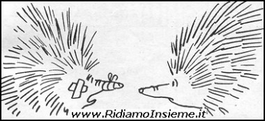 Vignette Animali - Istrice