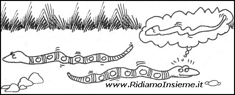 Vignette Senza parole - Serpenti - sogno
