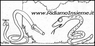 Vignette Animali - Serpenti (3)