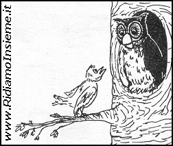 Vignette Animali - Uccello spaccone