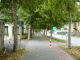 viale autunno - Falicetto - Zoom immagine