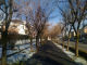 passeggiata viale inverno - Falicetto - Zoom immagine