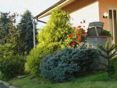 Giardino - effetto trama