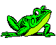 ranocchio