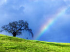 Scarica lo sfondo Fenomeni ARCOBALENO
