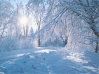 Scarica lo sfondo NEVE SOLE