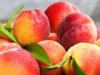 Scarica lo sfondo ALIMENTARI - FRUTTA - PESCHE