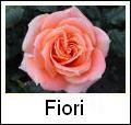 Download sfondi fiori