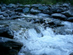 Scarica lo sfondo TORRENTE