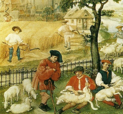 luglio tosatura breviario