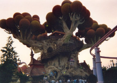 albero prezzemolino