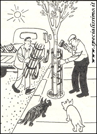 Vignette Animali - Vita da cani