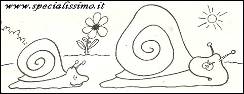 Vignette Animali - Le lumache