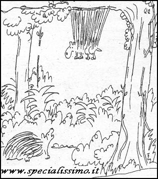 Vignette Animali - Porcospino