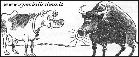 Vignette Animali - Toro