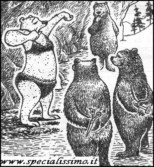 Vignette Animali - Orsi - letargo