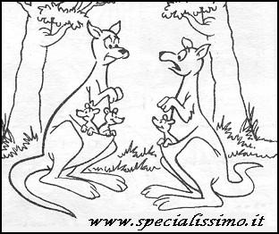Vignette Animali - I canguri