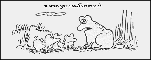 Vignette Animali - Il ranocchio