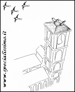 Vignette Animali - Le rondini