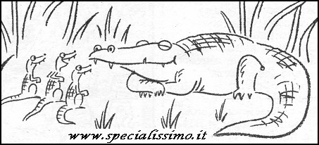 Vignette Animali - Il coccodrillo