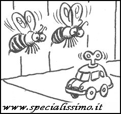 Vignette Animali - Api