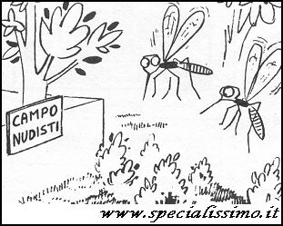 Vignette Animali - Zanzare