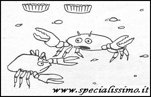 Vignette Animali - Granchi