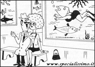 Vignette Varie - All'acquario