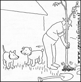 Vignette Animali - Cani (1)