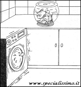 Vignette Animali - Giostra Pesci
