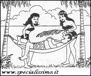 Vignette Varie - Hawaii