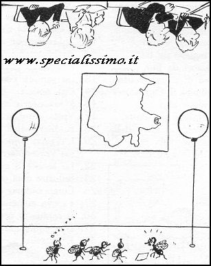 Vignette Animali - Le mosche