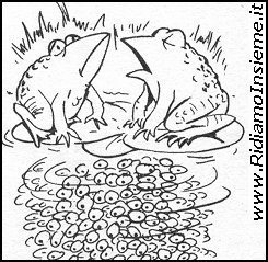 Vignette Animali - Le rane