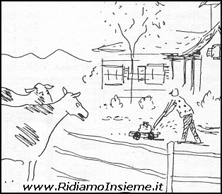 Vignette Animali - Mucche - erba