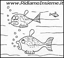 Vignette Animali - Pesci (5)