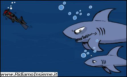 Vignette Animali - Squali